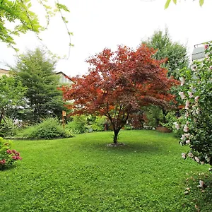  Apartment Nigler Österreich